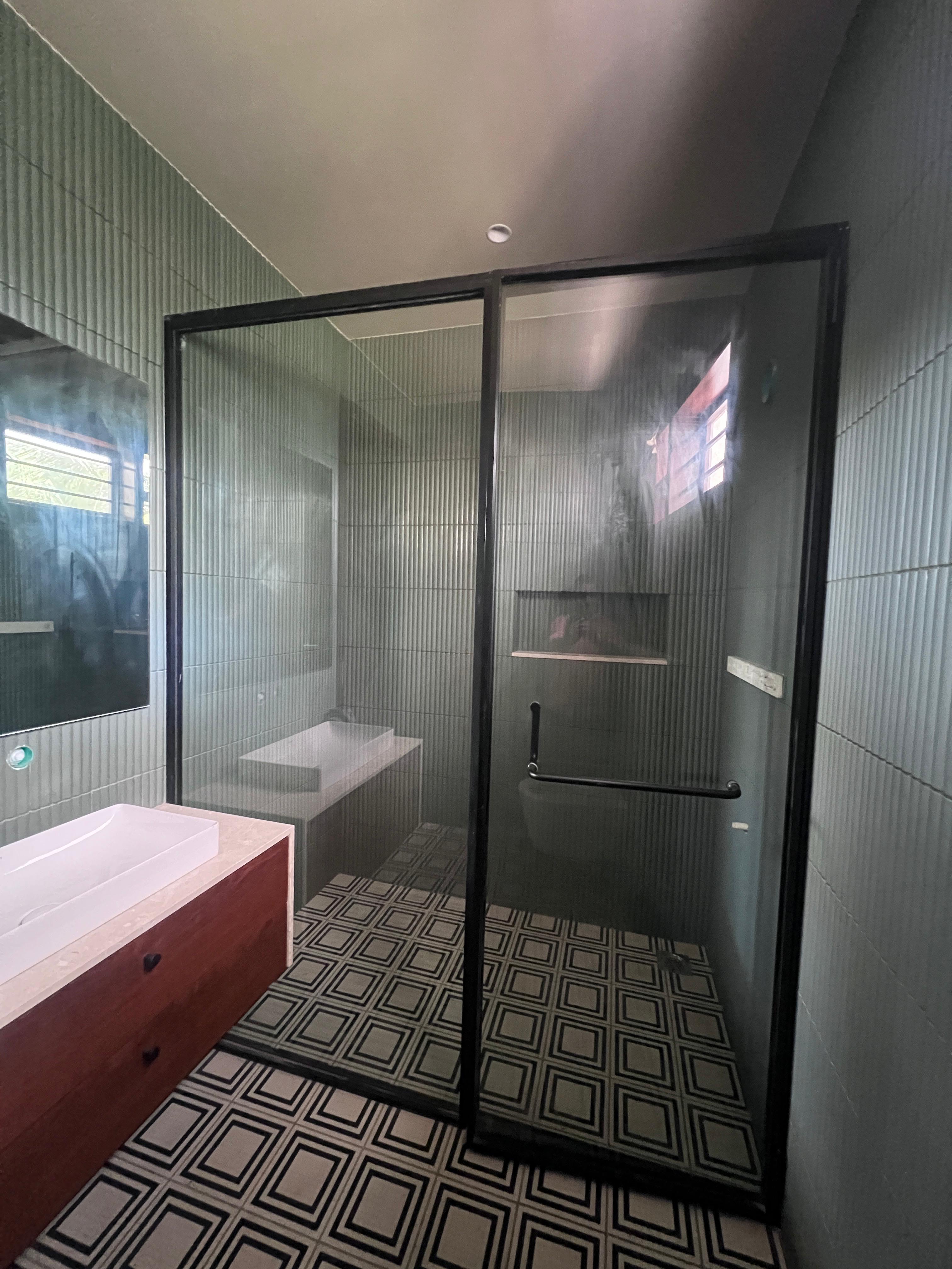 Shower Partition